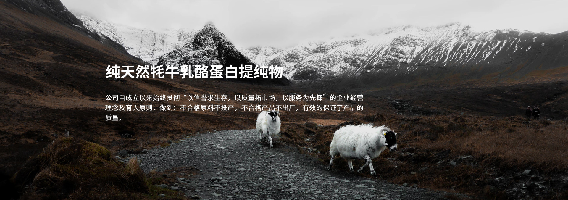 首頁banner2